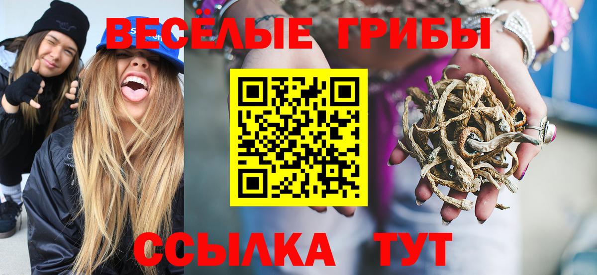 Псилоцибиновые грибы Cubensis Озёры
